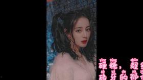 吃瓜小说娱乐圈完结文,瓜田里的甜蜜复仇