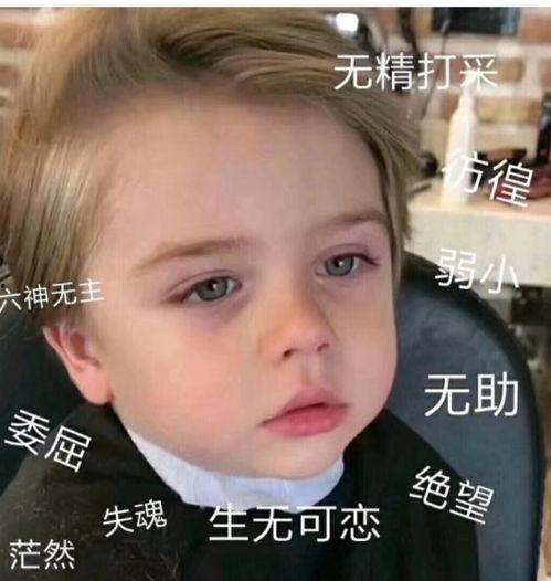 微信表情包中吃瓜是什么意思